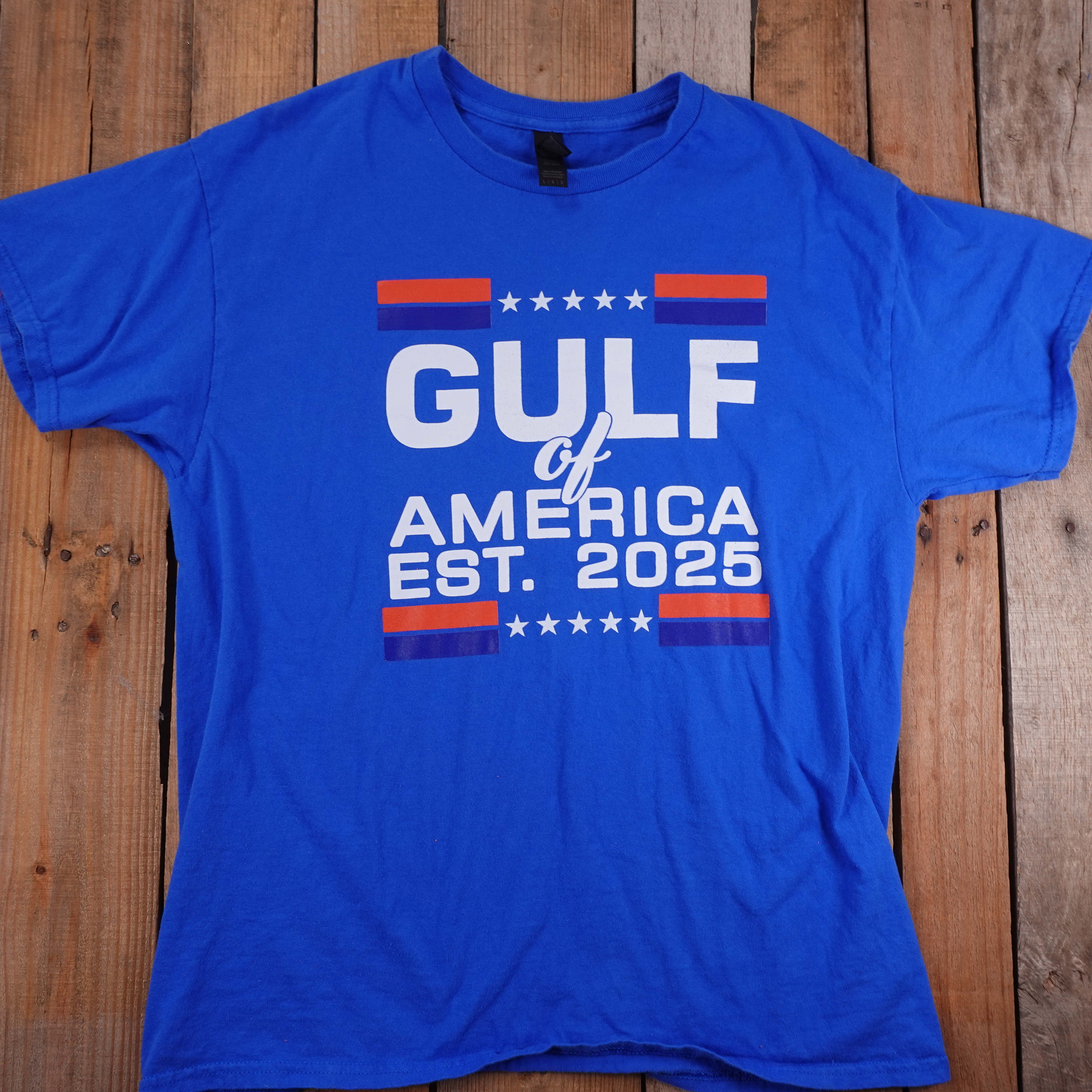 Gildan Heavy Cotton Men’s L Blue T-Shirt Gulf of America EST 2025 Graphic Tee