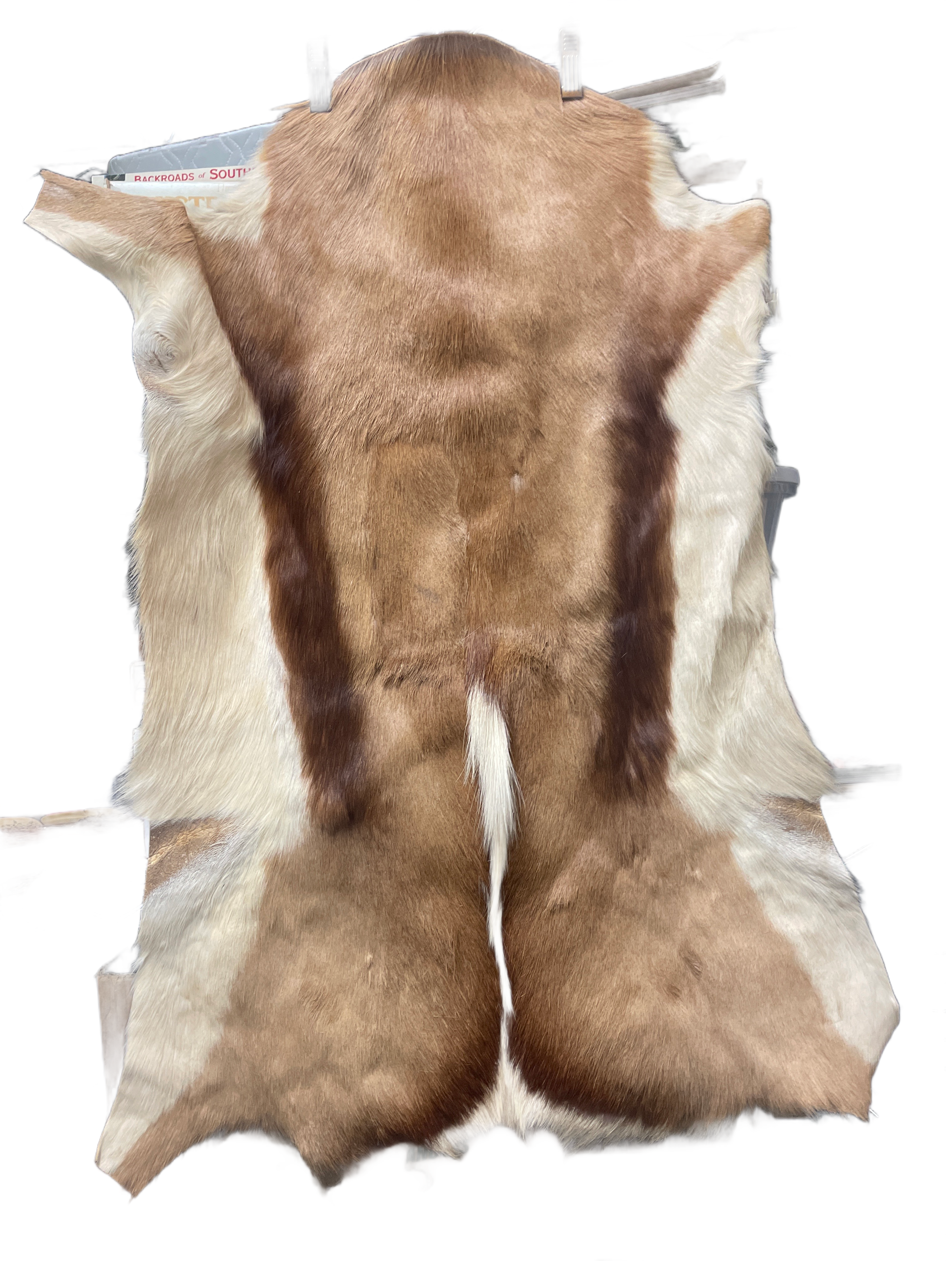 Exotic Gazelle Antelope Hide Fur Rug Wall Hanging Home Decor Natural Skin