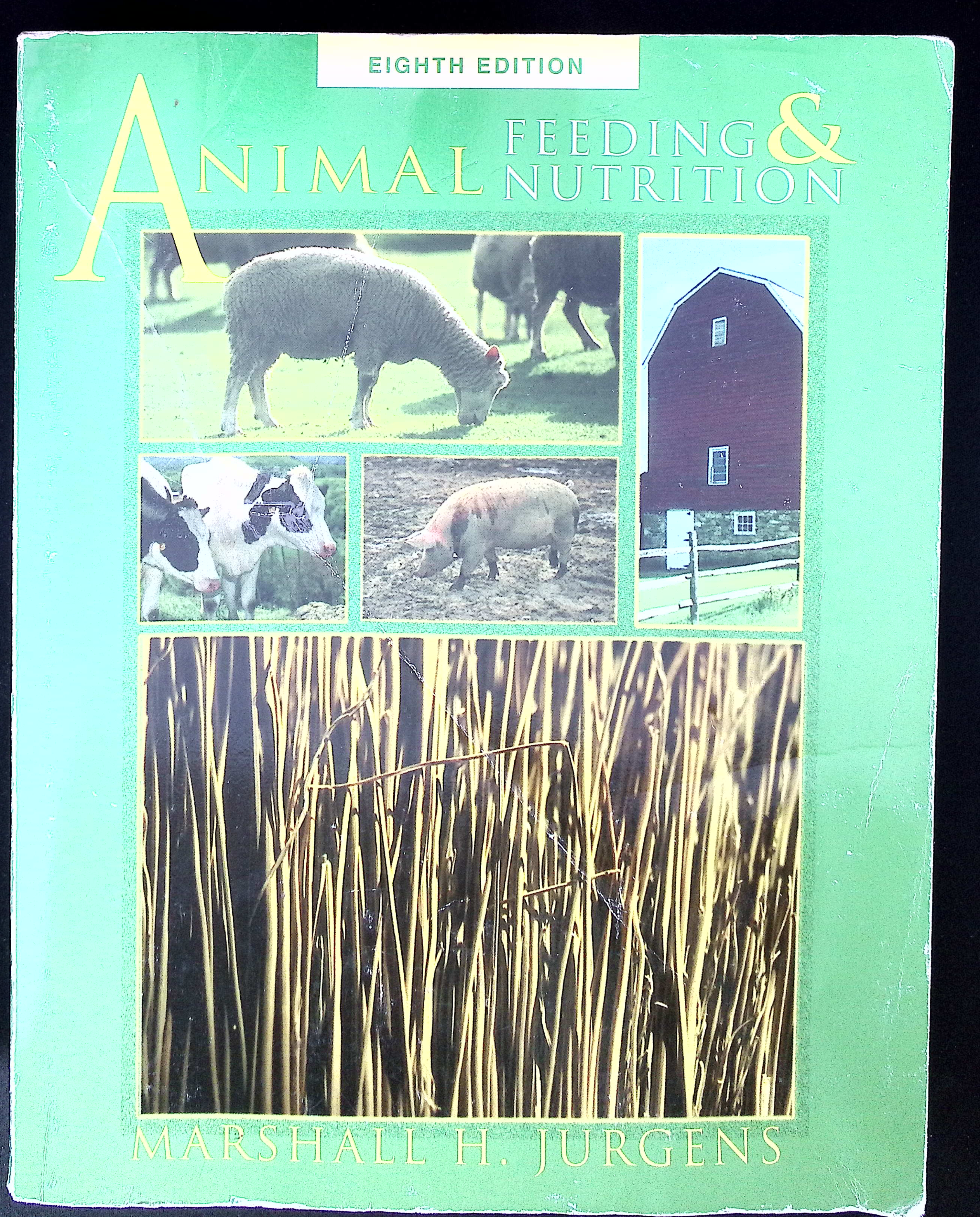 Animal Feeding & Nutrition Eighth Edition by Marshall H. Jurgens Textbook